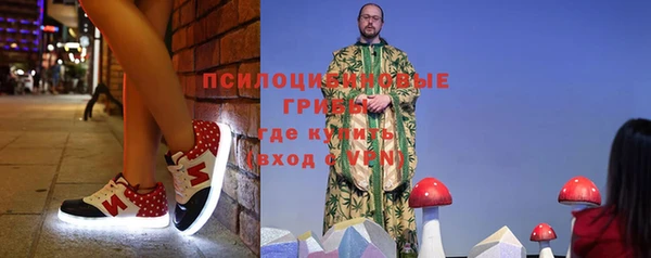 ГАЛЛЮЦИНОГЕННЫЕ ГРИБЫ Белокуриха