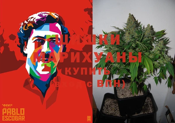 ГАЛЛЮЦИНОГЕННЫЕ ГРИБЫ Белокуриха