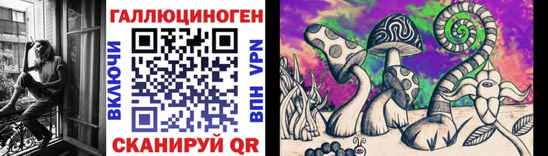 Галлюциногенные грибы мицелий Болохово