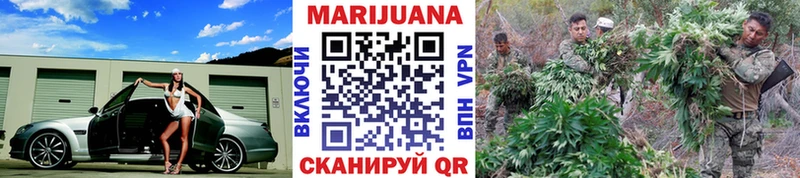 сколько стоит  Болохово  Бошки Шишки план 